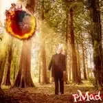 pMad - Fire (Single) - (Release/Review)